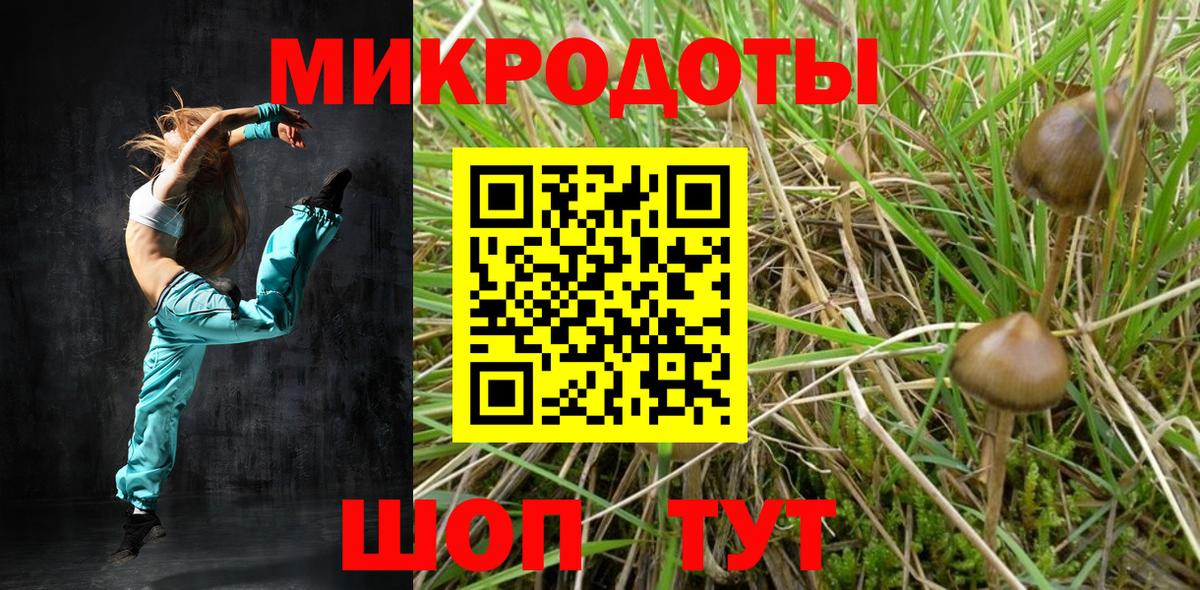Псилоцибиновые грибы Psilocybe  Вход с VPN  Димитровград 